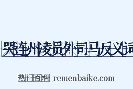 哭连州凌员外司马反义词是什么意思的图片